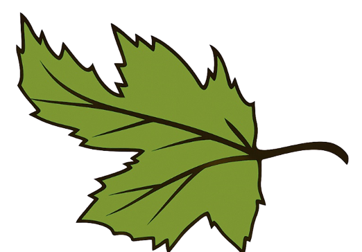 BM Leaf Black Outline